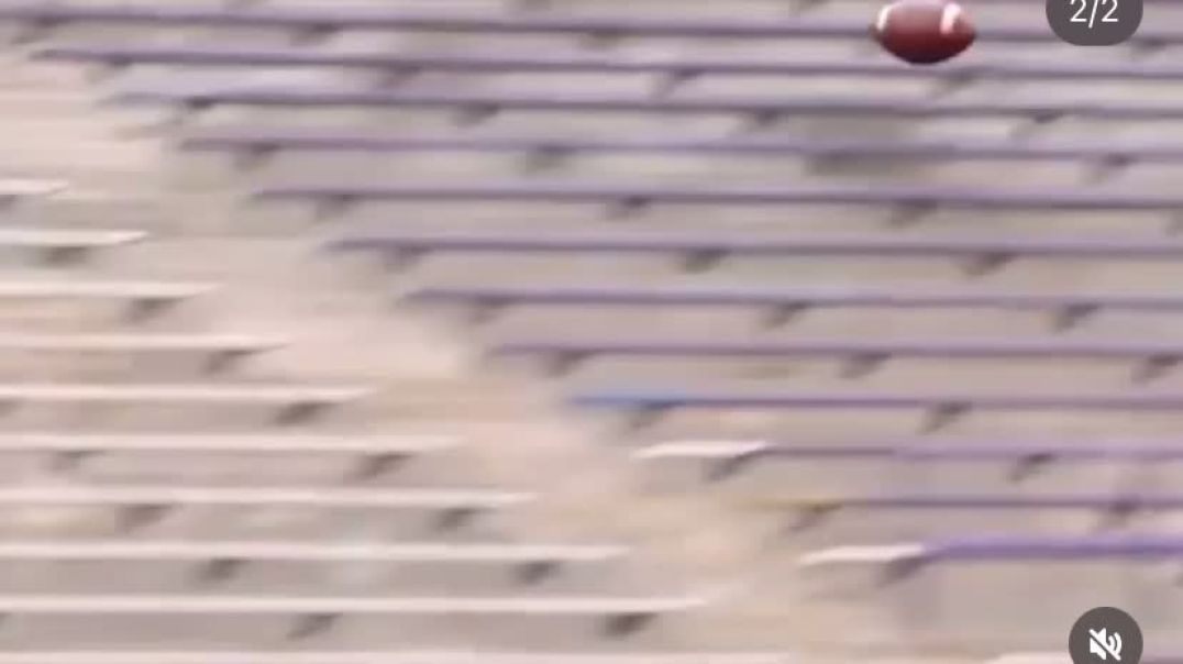 Pick #gocats